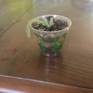 2 cactus plants if you want just one comment.